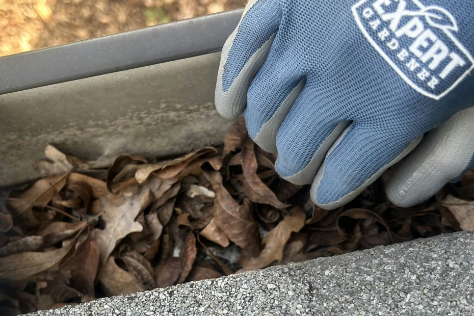 Gutter Cleaning Fairview Park