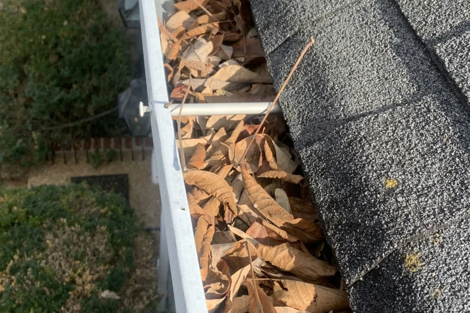 Gutter Cleaning Fairview Park