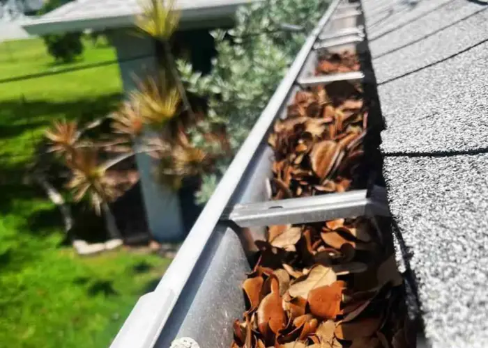 Gutter Cleaning Fairview Park home page